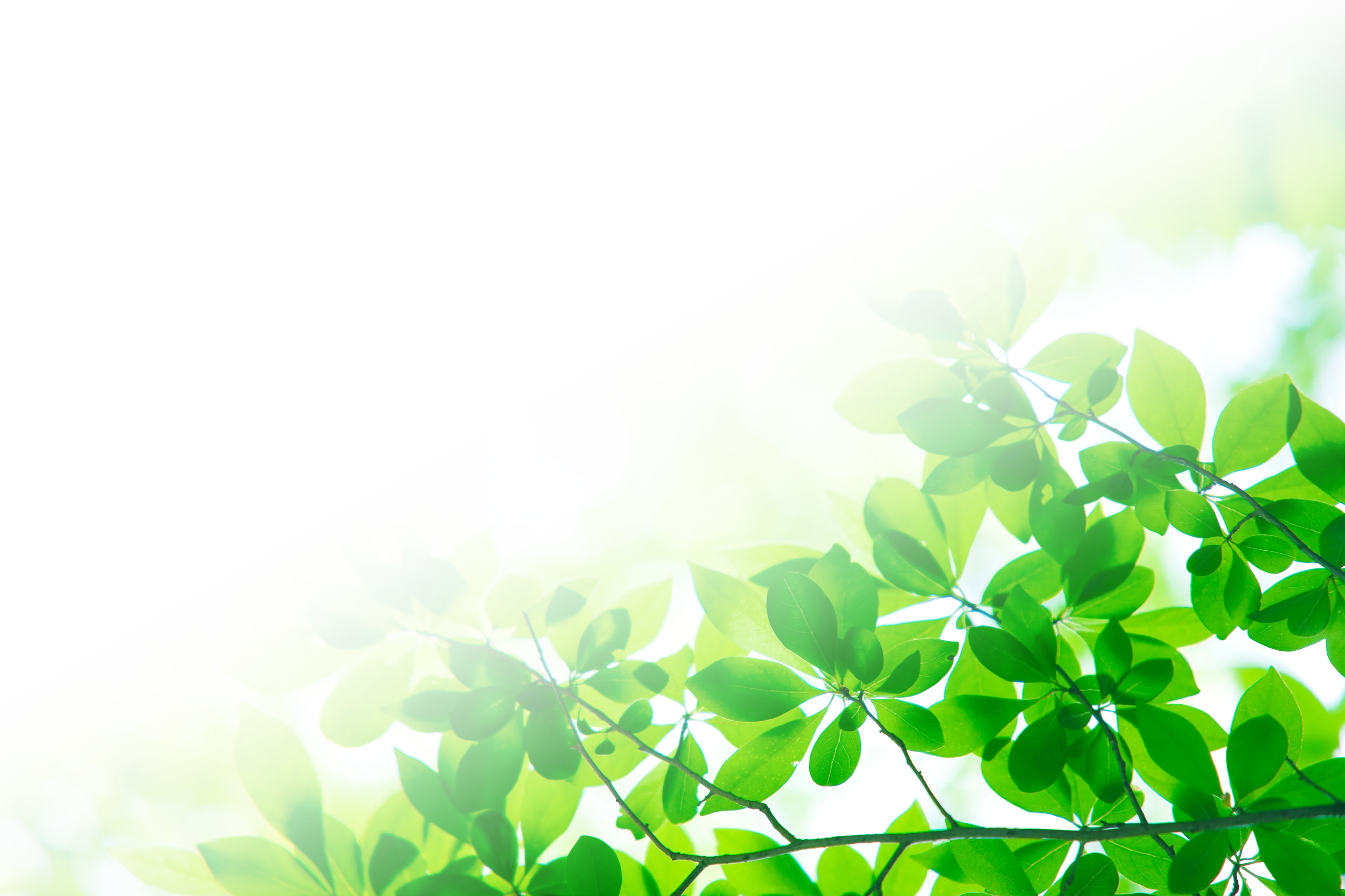 MiraXeed